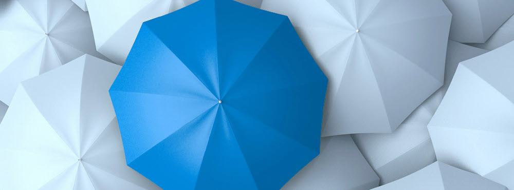 Risk Survey and Insurance Planning